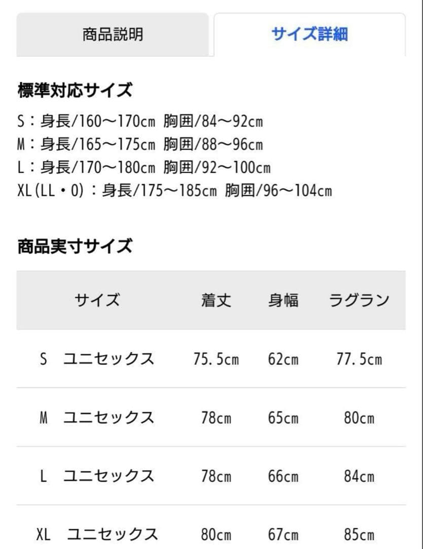 新品 THE NORTH FACE GORE-TEXジャケット L スノーボード