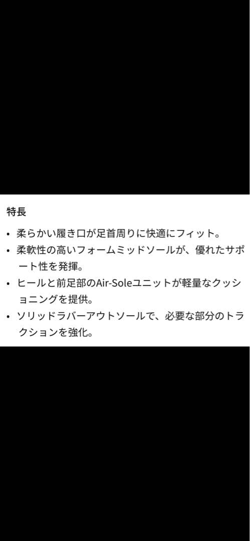 エア ジョーダン 3 レトロ \"Black Cement\" 28.5cm