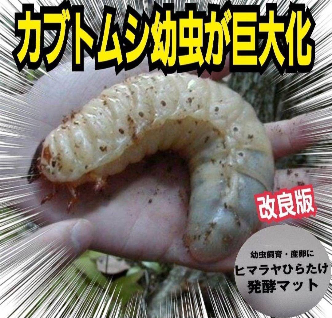 たっぷり100リットル　カブトムシ幼虫が大きくなる！発酵マット　雑虫がわかない