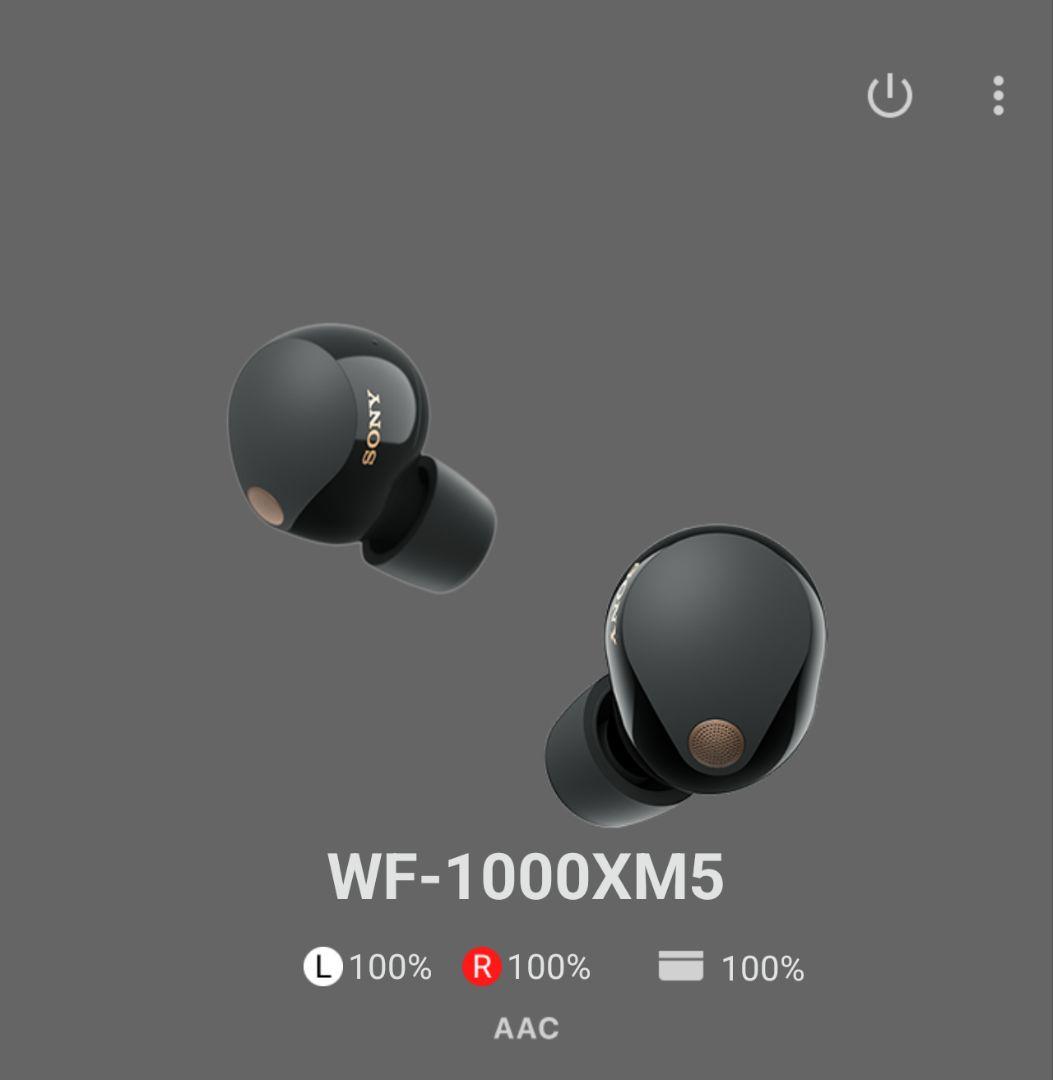 SONY WF-1000XM5 ワイヤレスイヤホン　＊未使用品あり