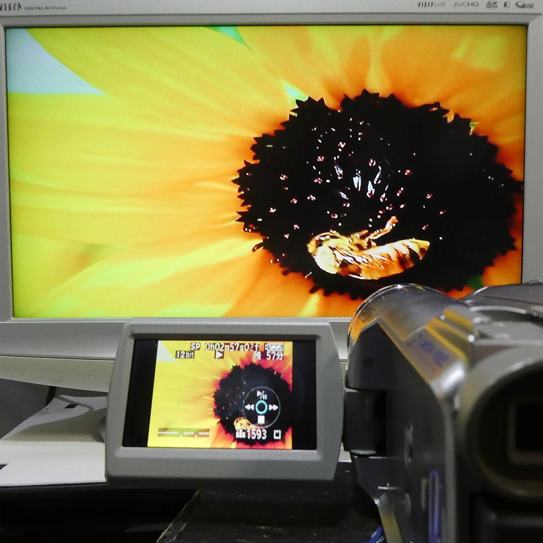 動作良好 パナソニックNV-GS300 MiniDVビデオ　デジタルダビングに