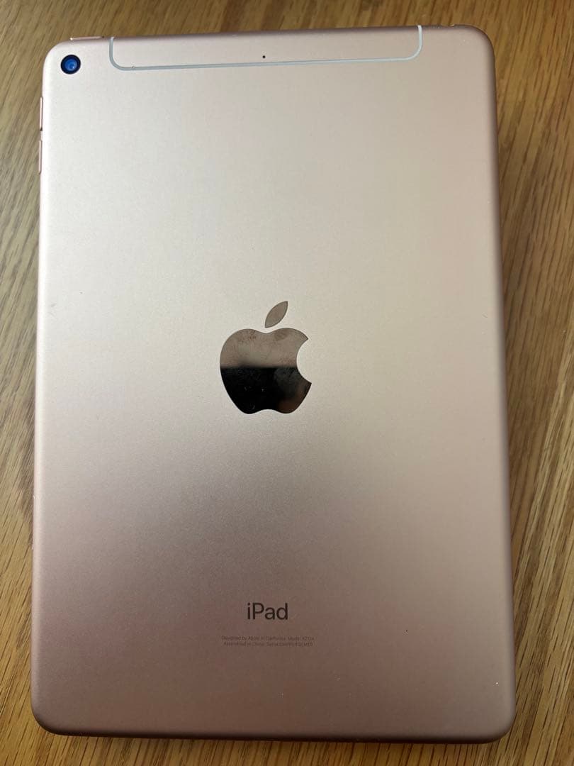 ゴールド iPad本体