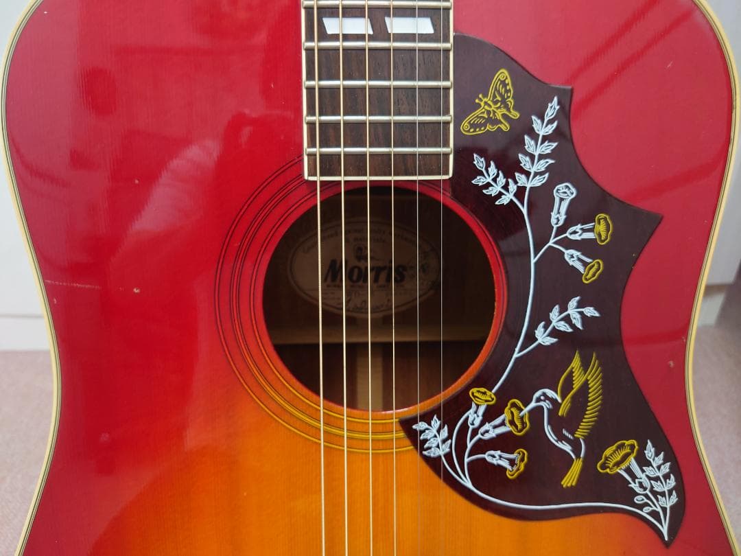 モーリス ギター Morris WD-25 ハミングバード