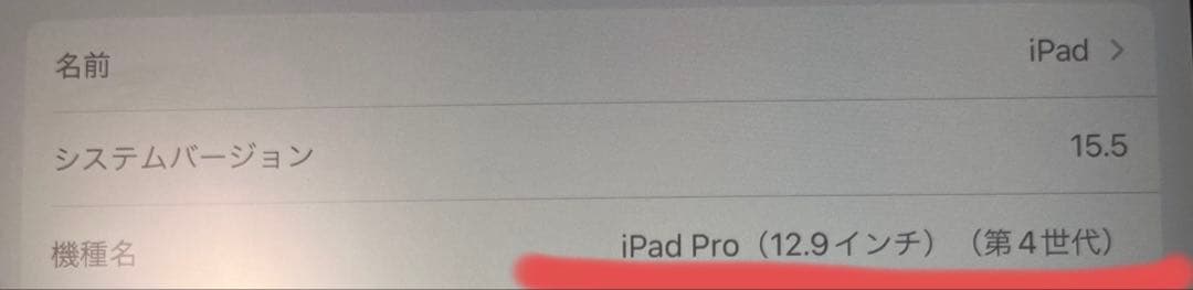 SIMフリー iPadPro12.9 第4世代　SpaceGray256G