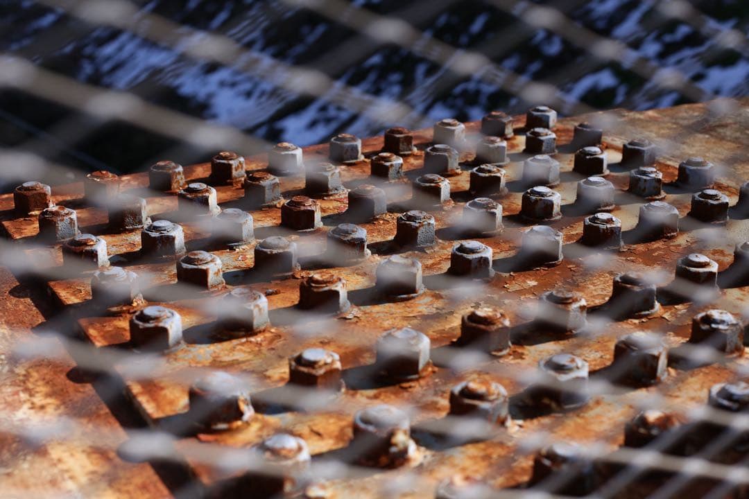 Canon EF 50mm f/1.4 USM フード、フィルター付