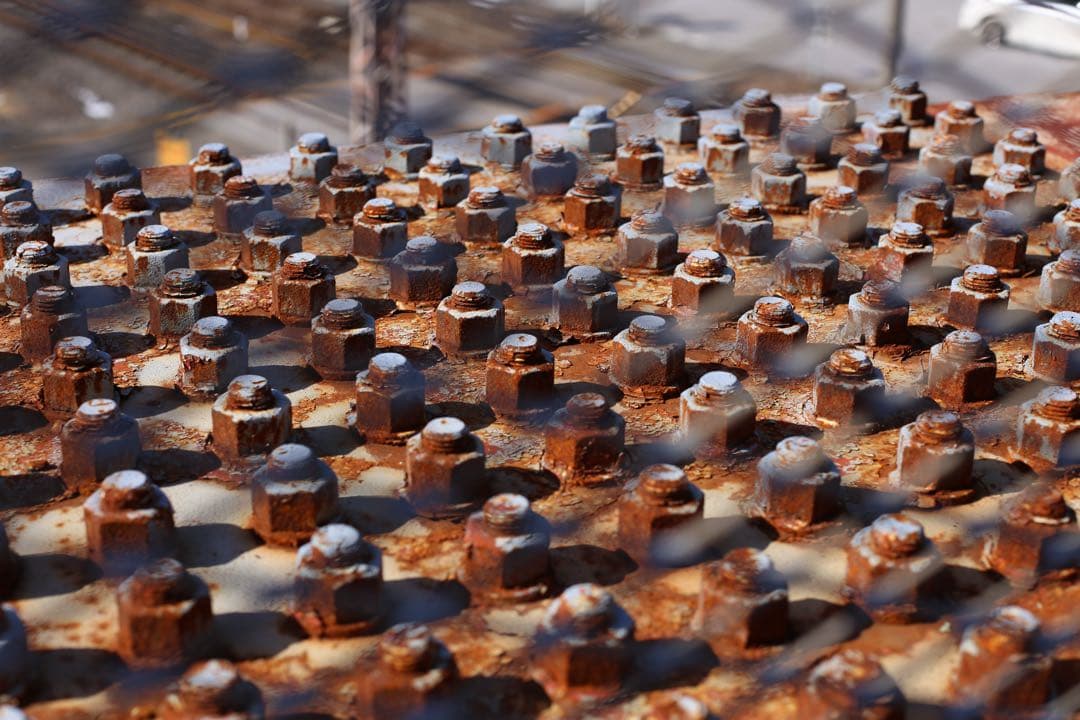 Canon EF 50mm f/1.4 USM フード、フィルター付