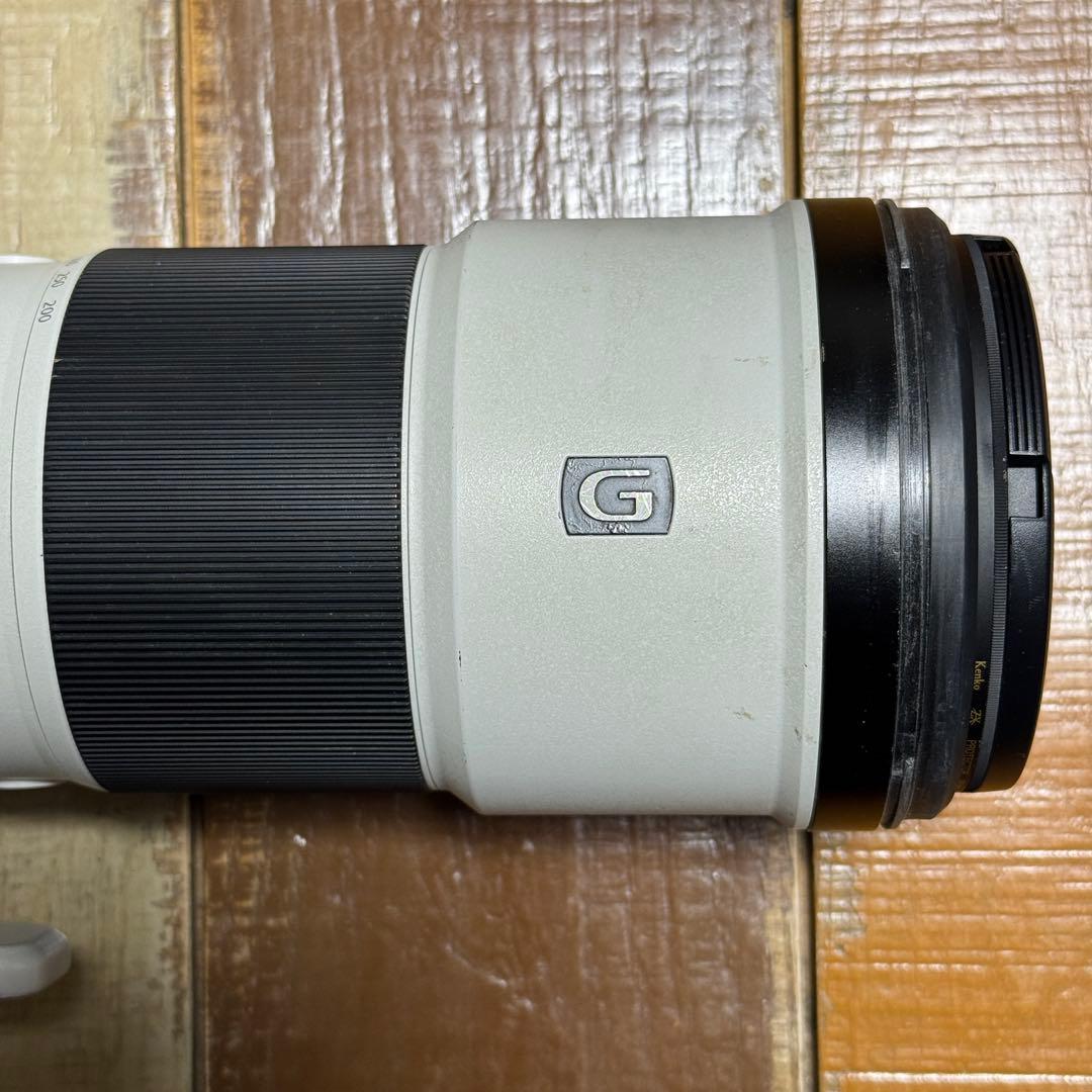 【SIMピン】Sony FE 200-600mm F5.6-6.3 G