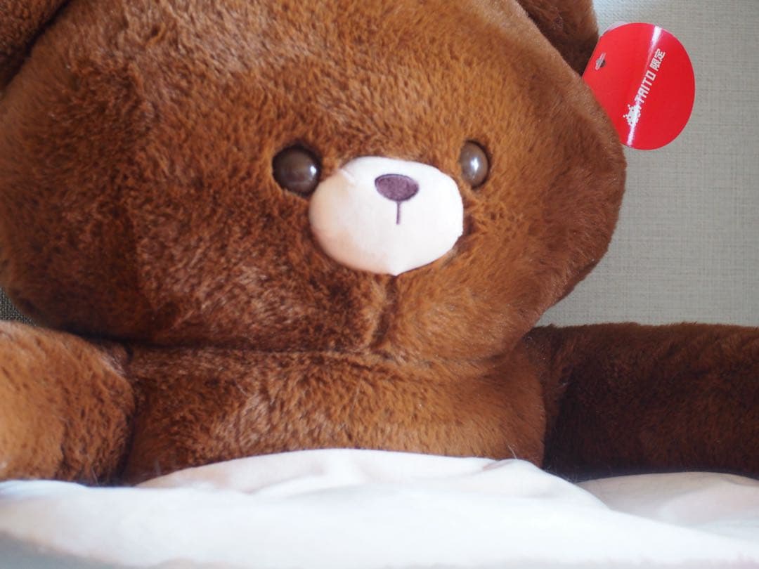 【デジタルカメラ】OLYMPUS OM-D E-M10 Mark II