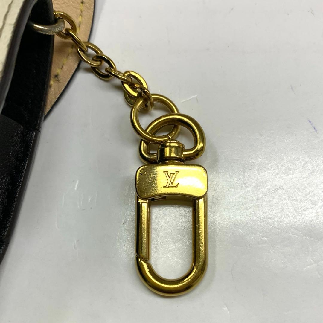 IAE23-28 ルイヴィトン エテュイ AirPods Proケース 保存袋付