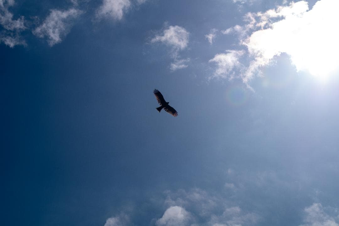 【黒死病対策】PENTAX K-S1 黒 純正標準レンズセット