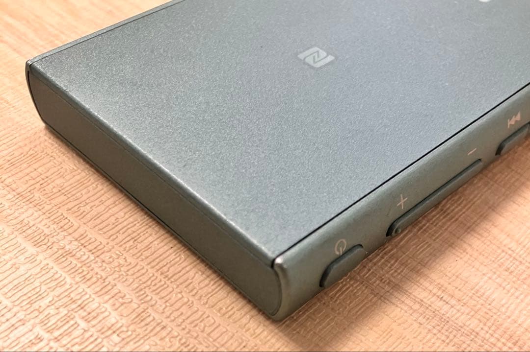 SONY WALKMAN NW-A45 本体 専用カバーケース付き