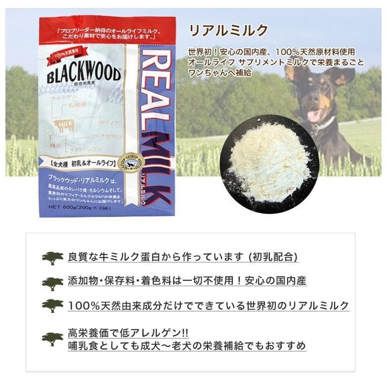 業務用　BLACKWOOD REAL MILK　リアルミルク　10袋