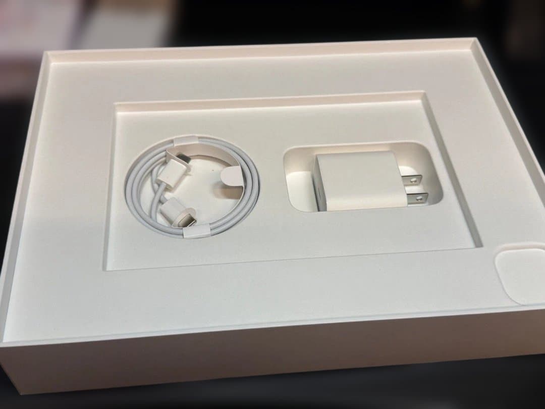iPad Pro 本体 ApplePencil2 ケース2個付