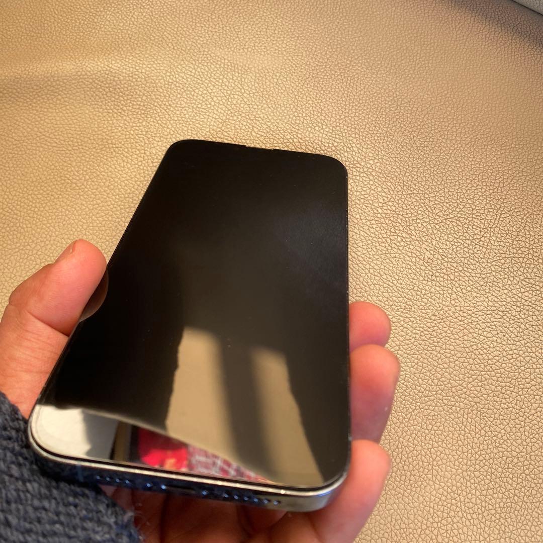 Apple iPhone 13 Pro Max 256GB リームーフ