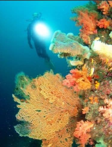 INON ワイコン ADマウント　UWL-105 AD