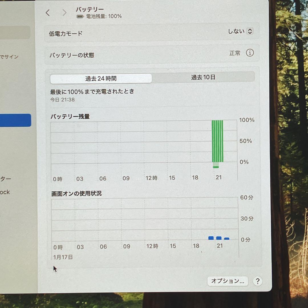 MacBook Pro 15.4インチ（外箱付）2019/i9/32GB/1TB