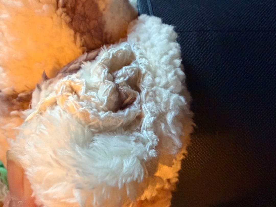 プチ子　コストコPENDLETON旧デザイン　クイーンブランケット