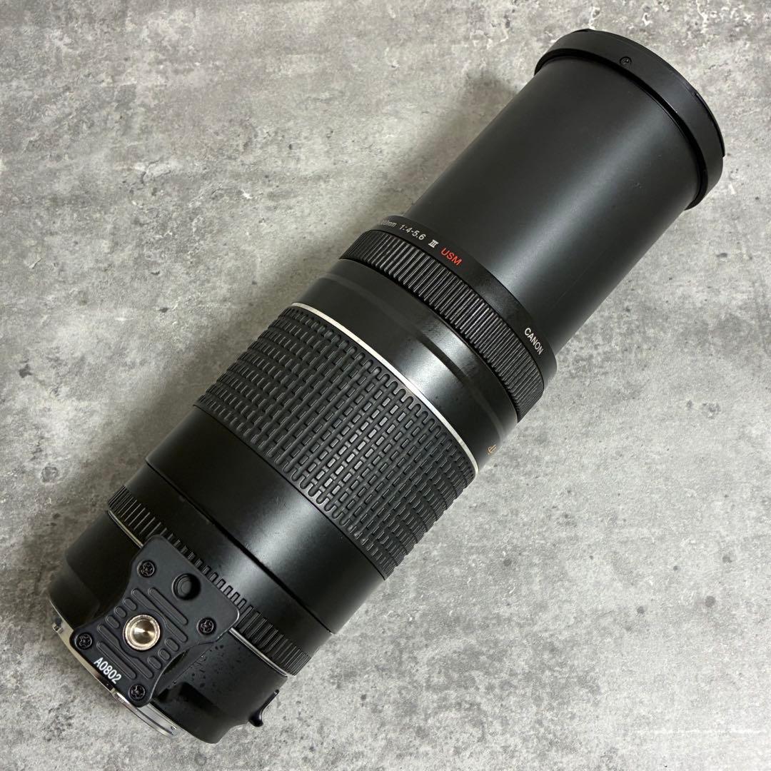 ⭐️美品⭐️Canon EF 75-300 III & EF-EOS M アダプター