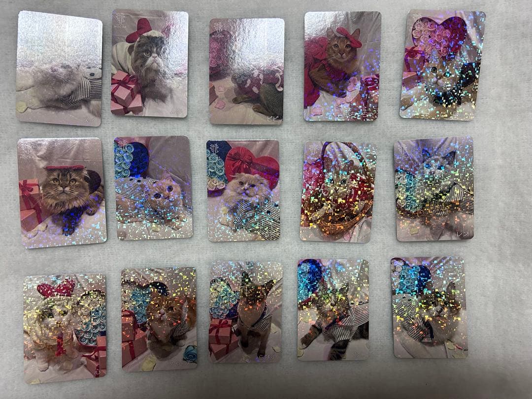 猫カフェmocha どきどきバレンタイントレカ　みなとアクルス店