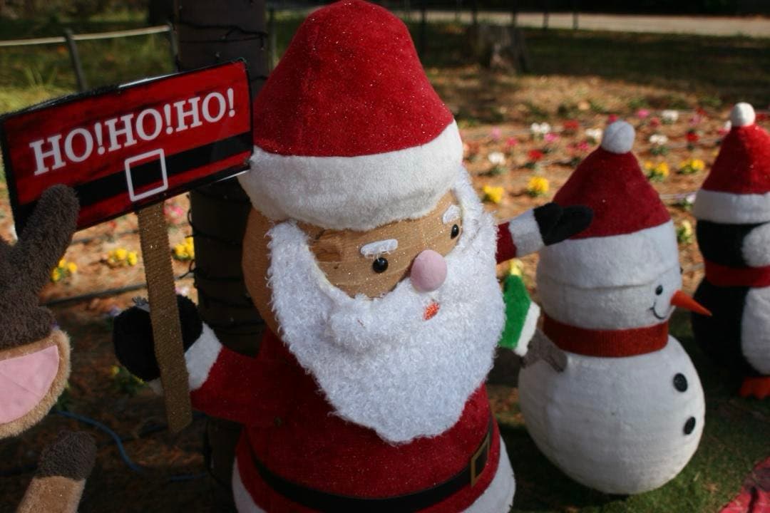 Nikon Ai-s nikkor 24mm f/2 （実写画像あり）