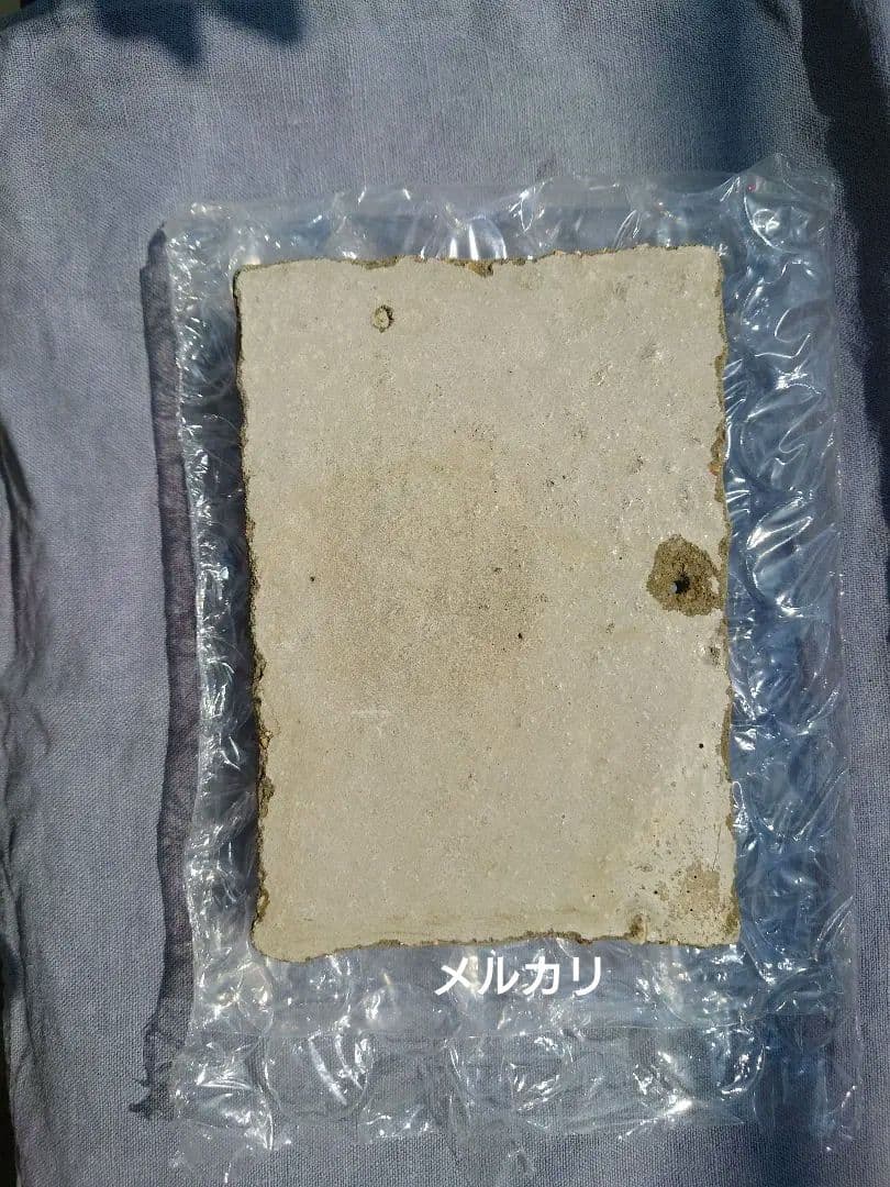 ワンダーデコール イヤープレート　2025