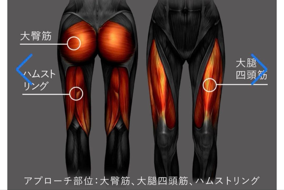 SIXPAD シックスパッドヒップ＆レッグ woman′s Mサイズ