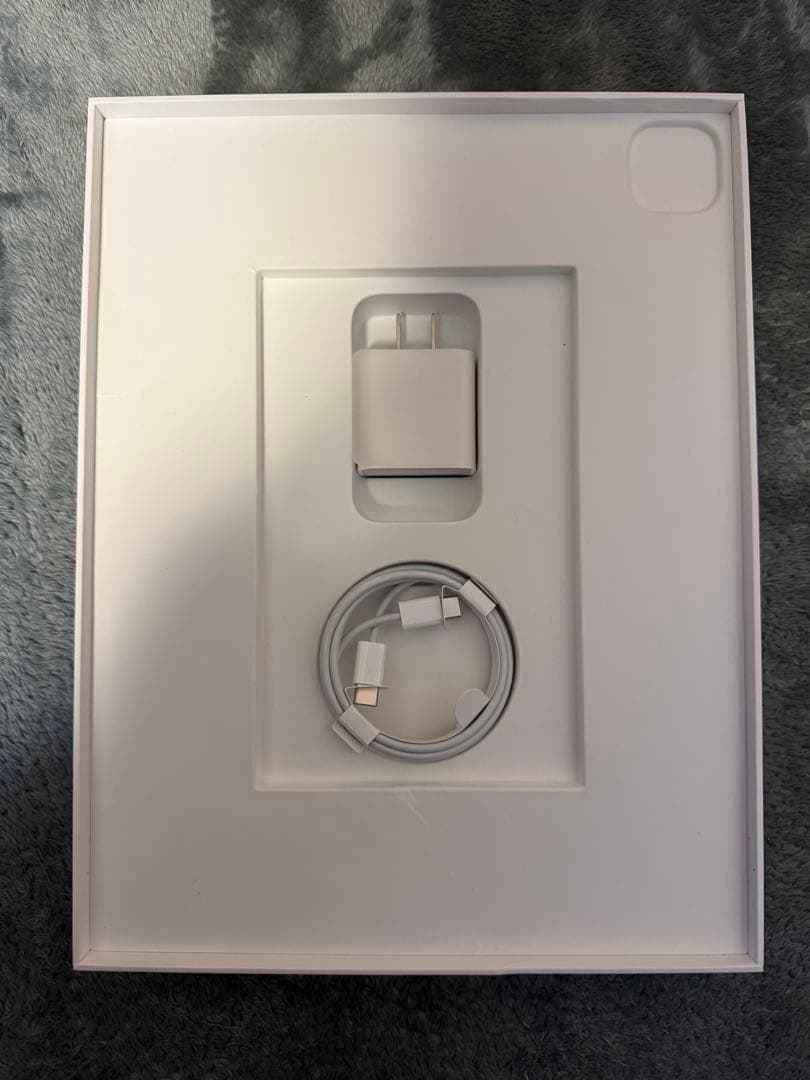 iPad Pro 12.9インチ (第4世代) 256GBセルラーモデル