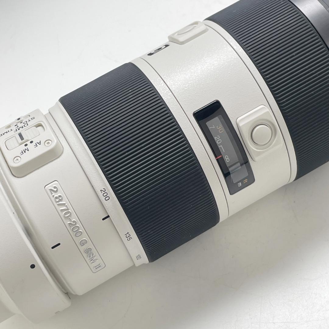 きれい ソニー 70-200mm F2.8 G SSM II