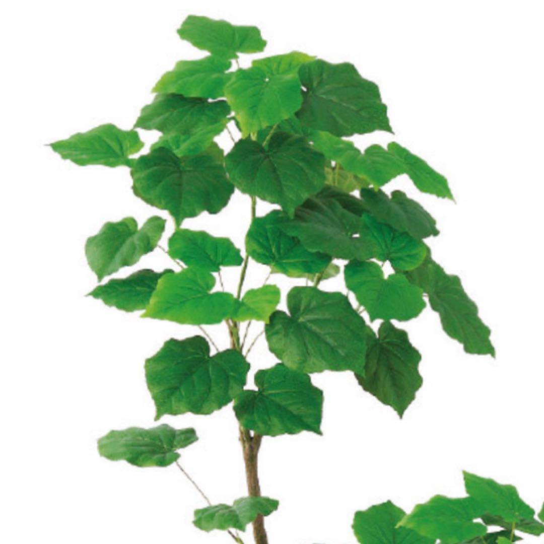 光触媒　人工観葉植物　ウォールグリーン　フェイクグリーン　ウンベラータ18080