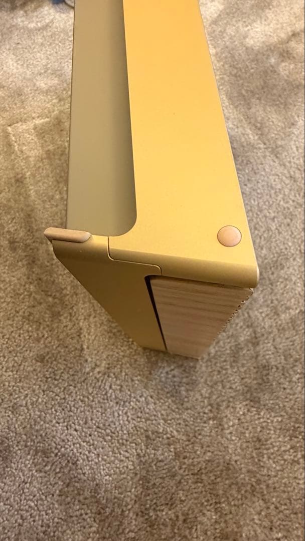 M*s様 Bang & Olufsen Beosound Level 【美品】