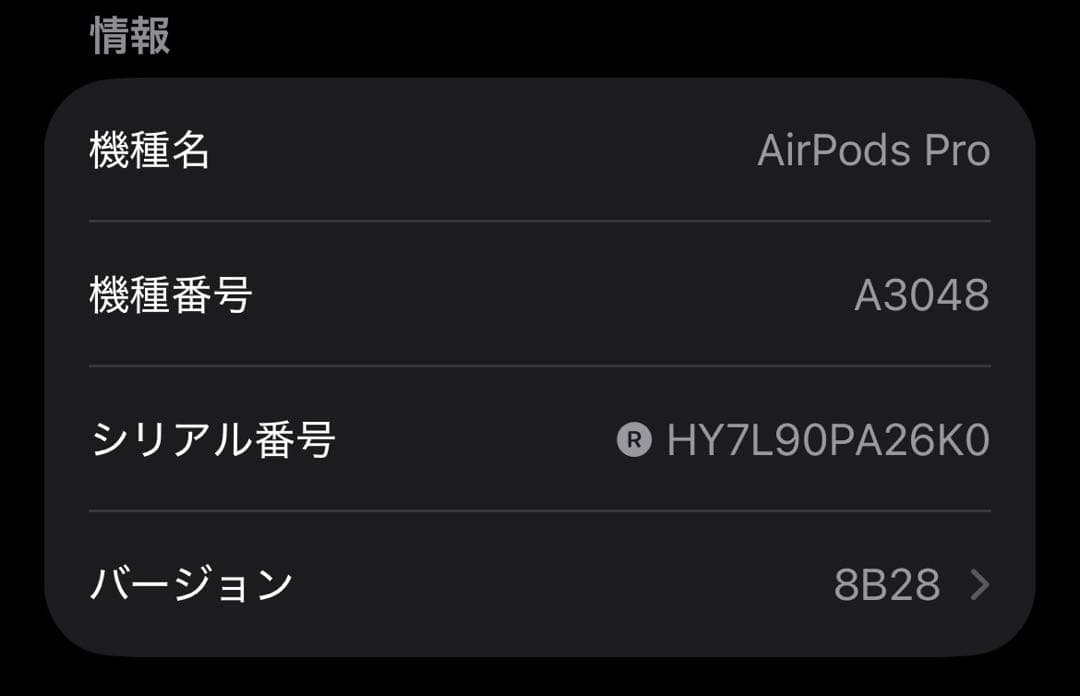Apple AirPods Pro 第2世代 USB-C 両耳 [77]