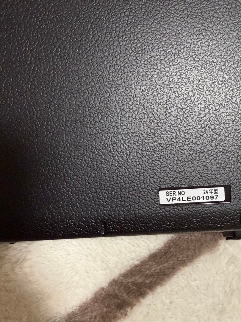 Panasonic プライベートビエラ 19V 24年製