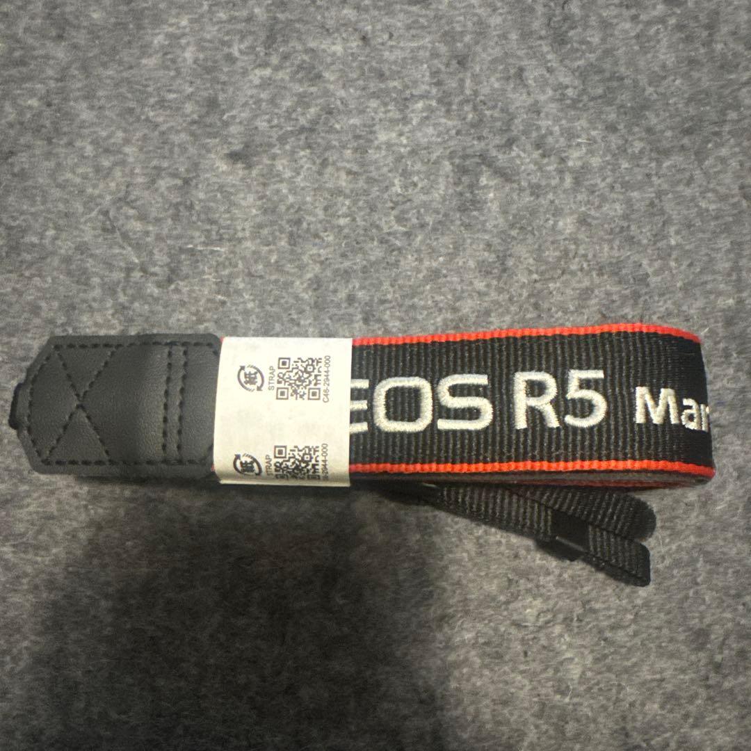 【超美品】CANON EOS R5 MARK II cfexpress B付