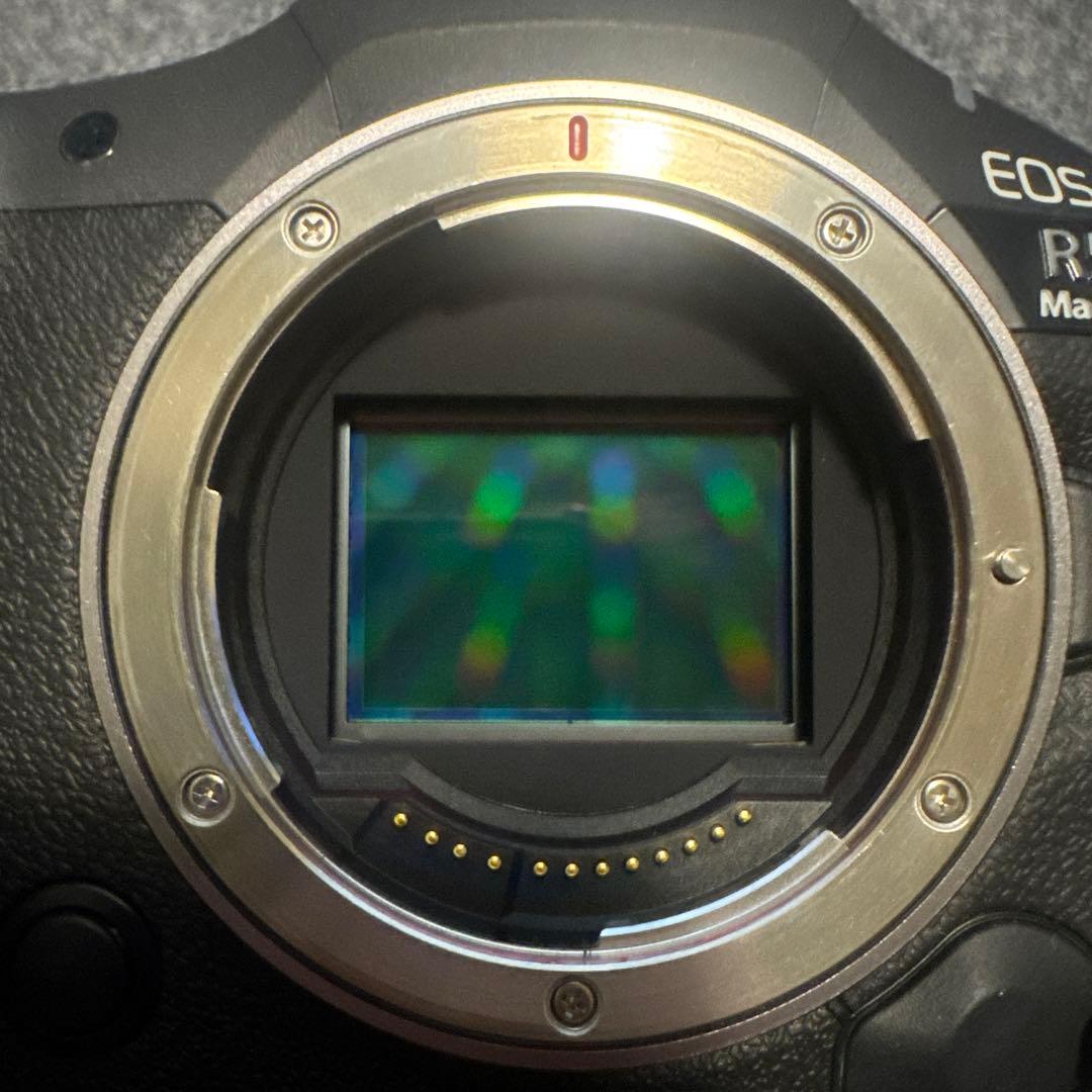 【超美品】CANON EOS R5 MARK II cfexpress B付