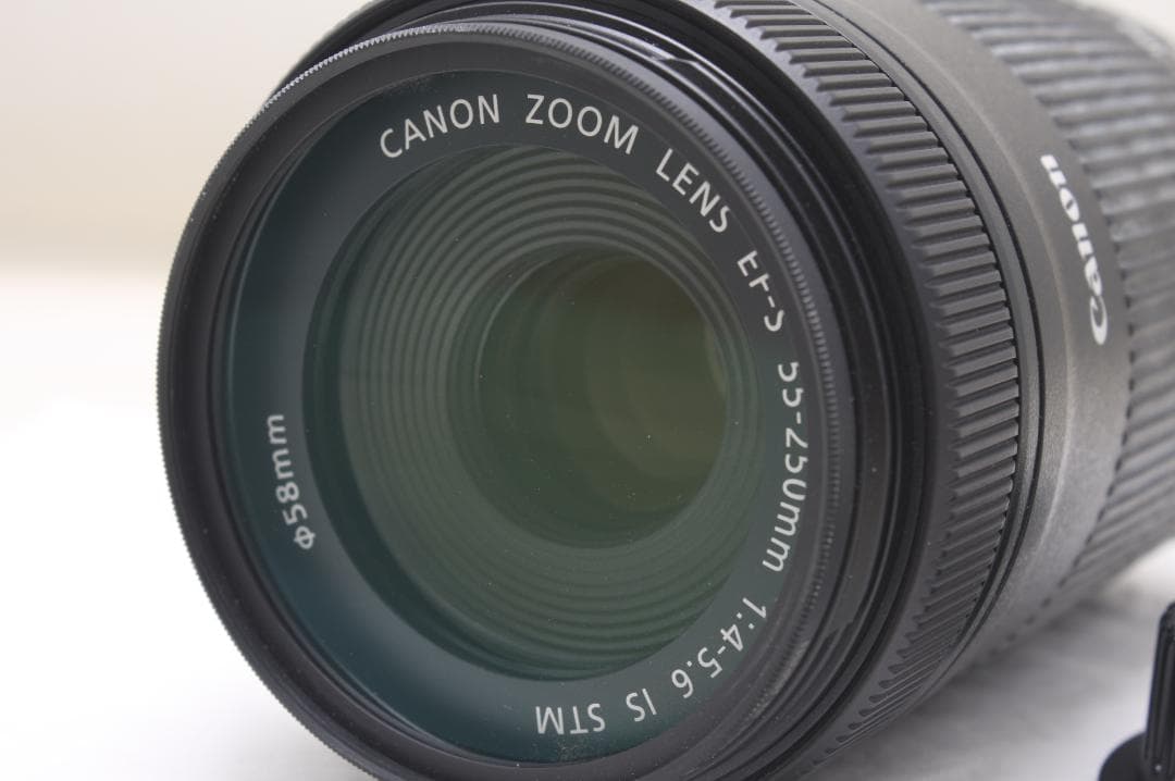 キヤノン EF-S 55-250mm F4-5.6 IS STM 2776