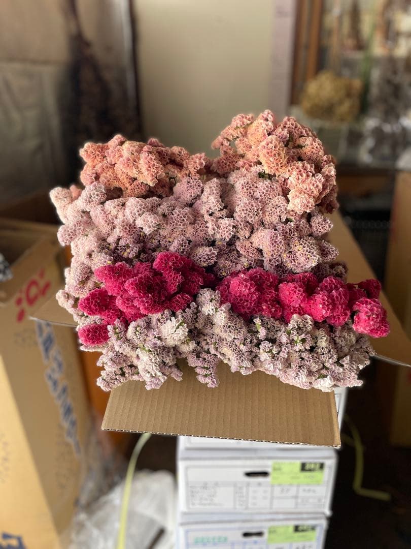 スターチス　ニュアンス系mix【送料込】