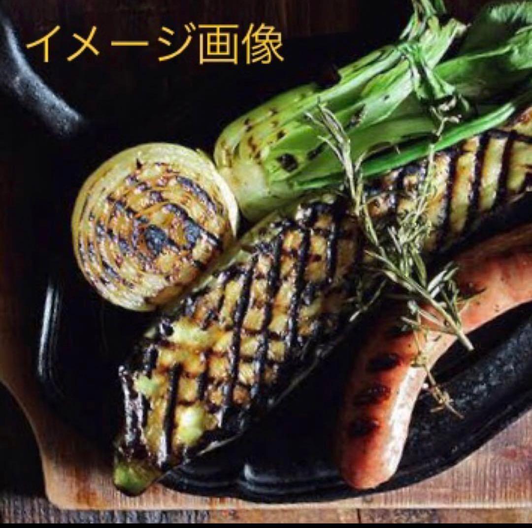 ル・クルーゼ スクエア パニーニプレスロッジとLODGE スクエアグリルパン