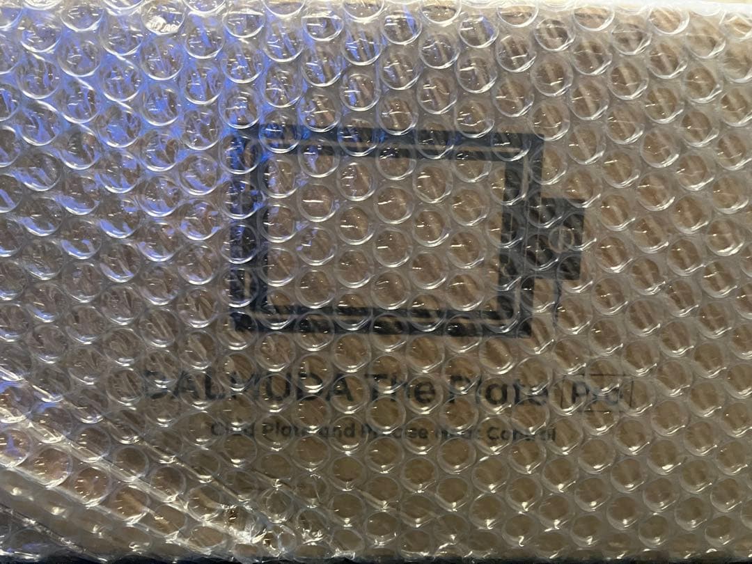 バルミューダ スチーム鉄板 新品未使用