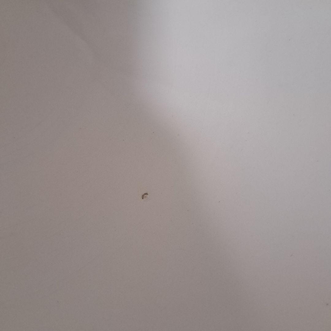 オランダ　アンティーク　ヴィンテージ　ボウル　特大