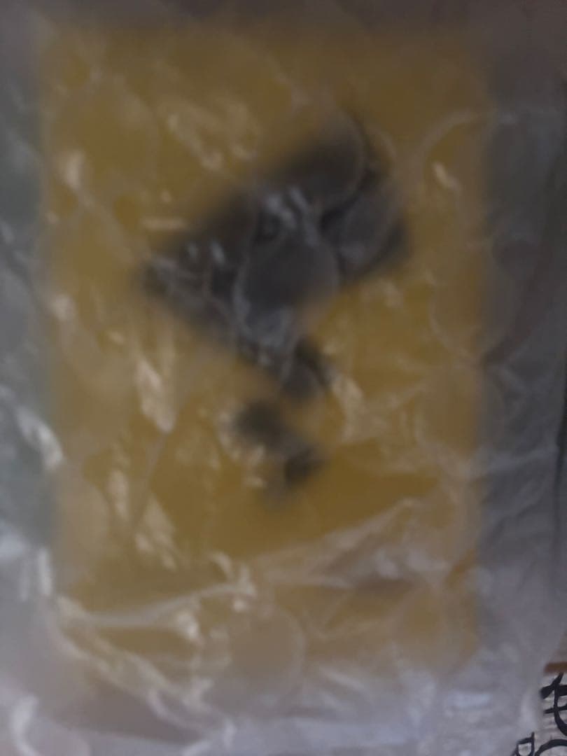 専用ページになります。