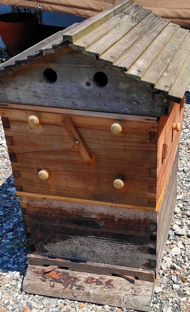 養蜂箱 蜂蜜 フローハイブ