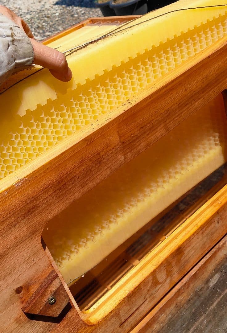 養蜂箱 蜂蜜 フローハイブ