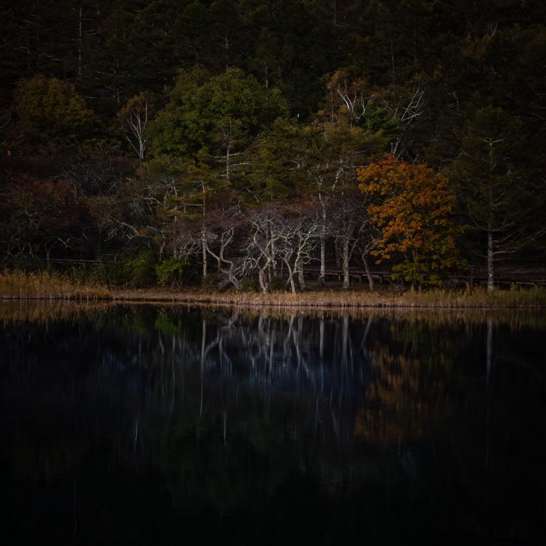 週末割CONTAX ツァイスCarl Zeiss Planar 135mm F2