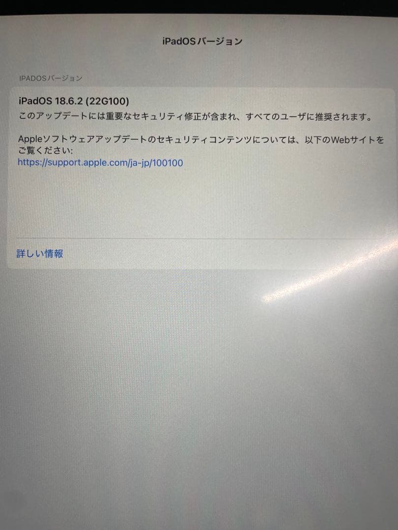 iPad Pro 12.9インチ 1TB Wi-Fi + Cellular