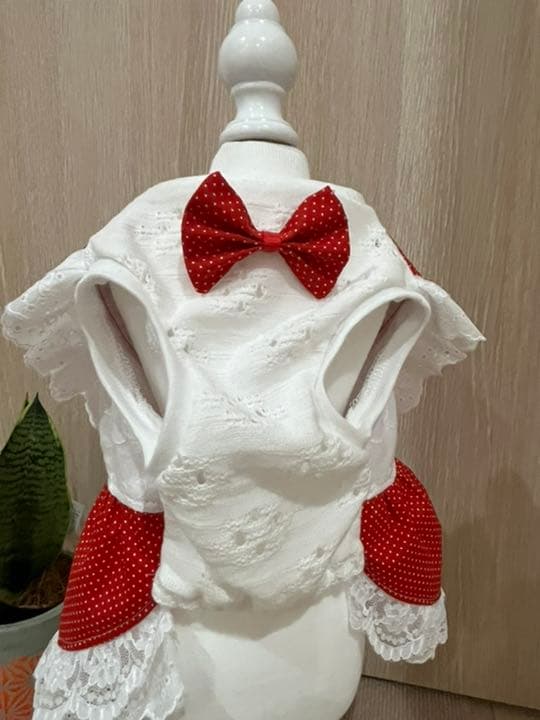 犬服　赤ドットフリルワンピース　ハンドメイド