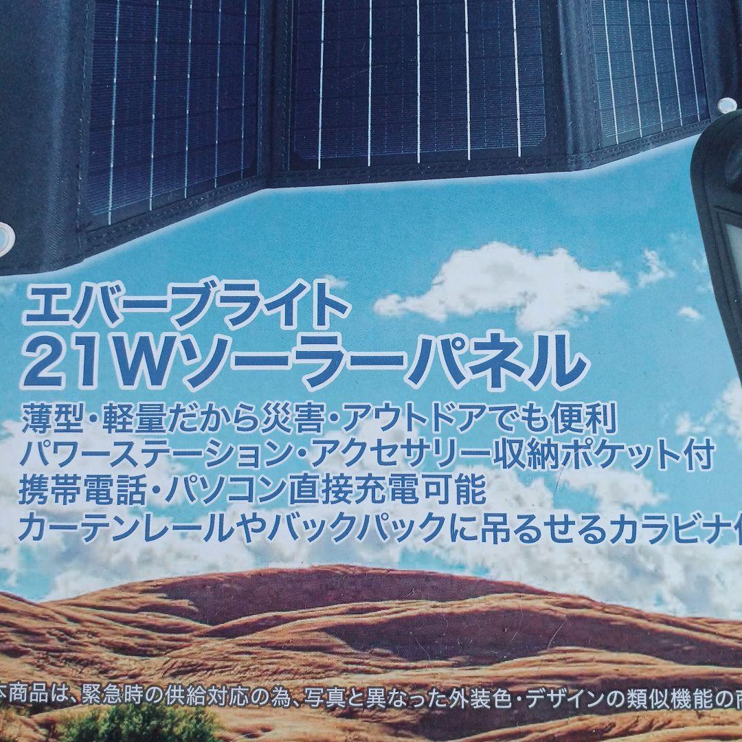 未使用エバーブライトメガパワーステーション・メガパネ21Wセット