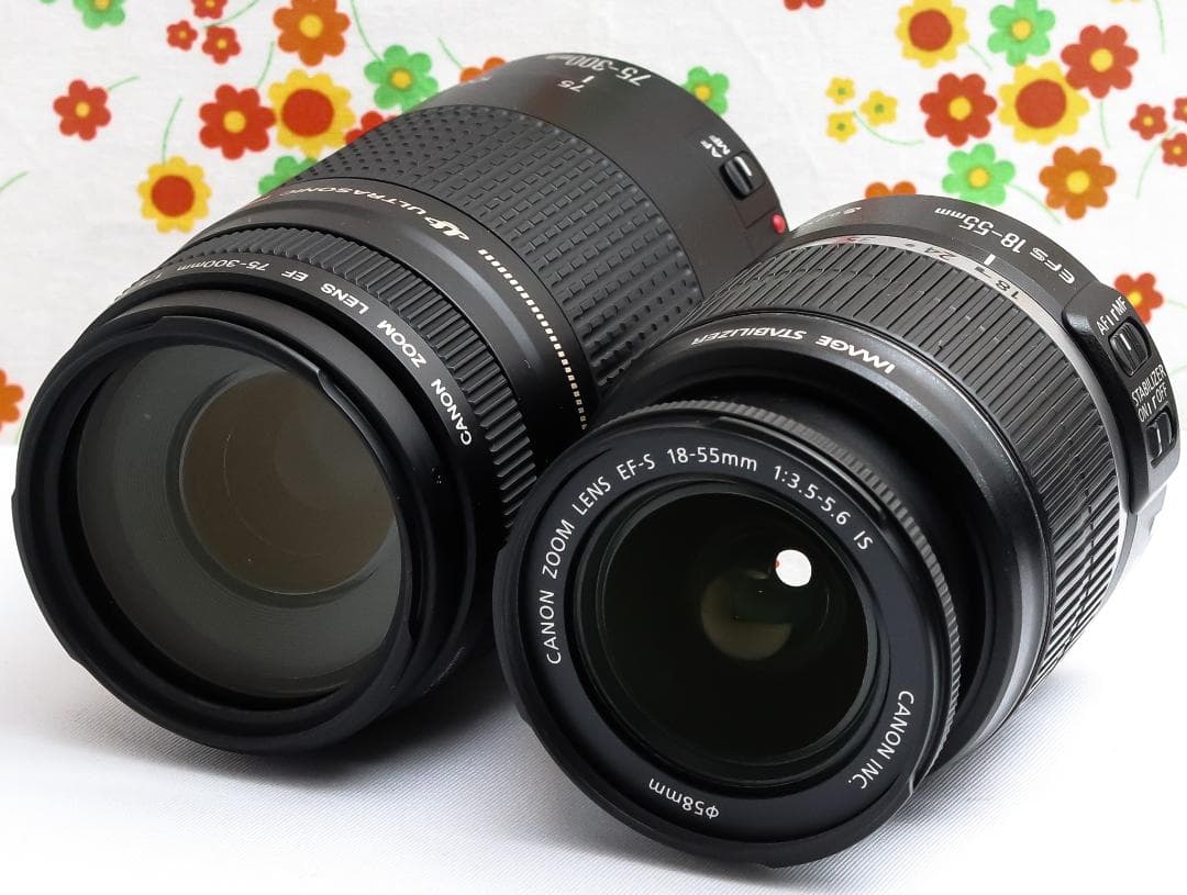 キャノン Canon kiss x3☆ダブルレンズ☆スマホに転送☆一眼レフ