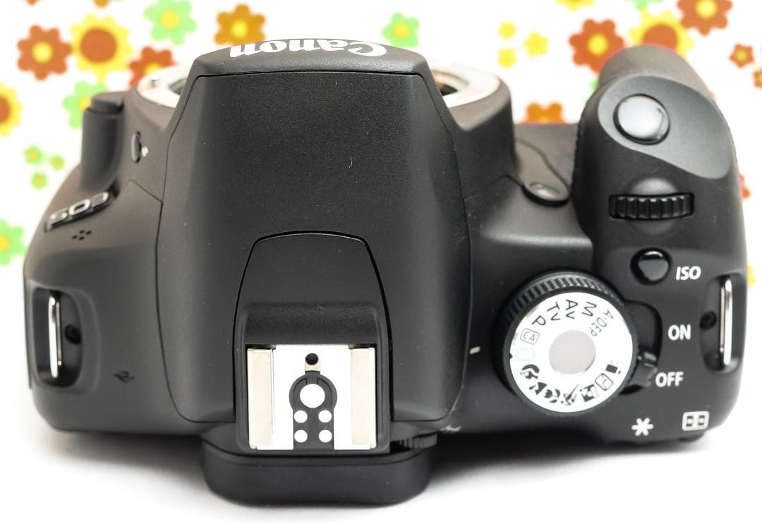 キャノン Canon kiss x3☆ダブルレンズ☆スマホに転送☆一眼レフ