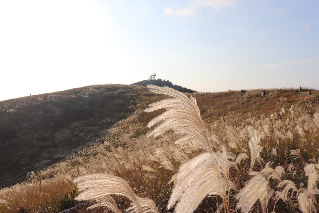 Canon EOS Kiss X9 ダブルレンズ＋アクセサリーセット