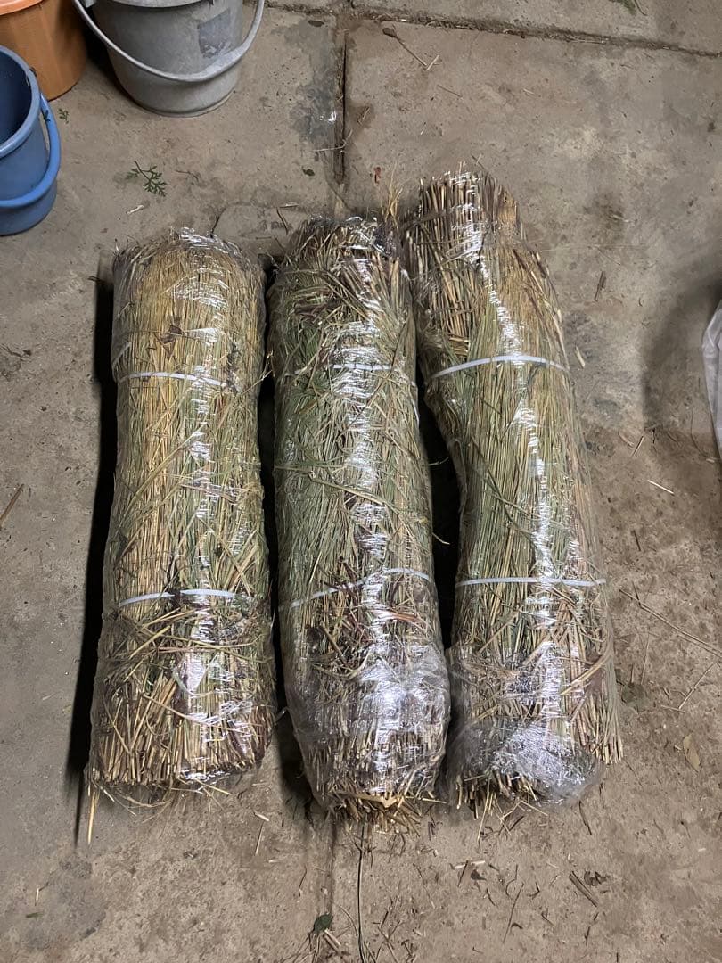 【R7年10月2日刈取り】無農薬稲わら 【有機栽培約14kg】岩手県一関市発